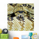 Northern Black-Tailed Rattlesnake Wall Mural