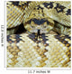 Northern Black-Tailed Rattlesnake Wall Mural