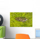 A Rio Grande Leopard Frog Sitting On A Bed Of Algae Wall Mural