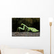 Praying Mantis Perched On A Tree Wall Mural