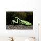 Praying Mantis Perched On A Tree Wall Mural