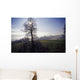 Silhouette Of Tree Wall Mural