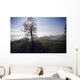 Silhouette Of Tree Wall Mural