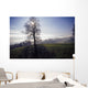 Silhouette Of Tree Wall Mural
