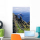 Ireland Wall Mural