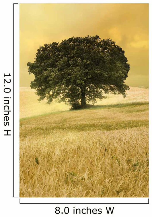 wheat field with majestic tree Wall Mural