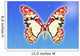 Butterfly Wall Mural