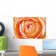 Orange Rose Wall Mural