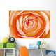 Orange Rose Wall Mural