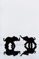 Elephant Pair Reflection Wall Mural
