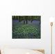 Ireland, Bluebells On A Forest Floor Wall Mural