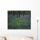 Ireland, Bluebells On A Forest Floor Wall Mural