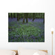 Ireland, Bluebells On A Forest Floor Wall Mural