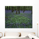 Ireland, Bluebells On A Forest Floor Wall Mural