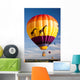 Safari Balloon Wall Mural