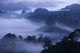 Morning Fog Tea Farm Wall Decal Design 2