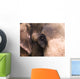 Close Up Of Elephant Wall Mural