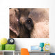 Close Up Of Elephant Wall Mural