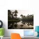 Sunrise And Palm Trees, Kerala, India Wall Mural