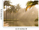 Palm Trees And Sunbeams, Kerala, India Wall Mural
