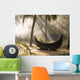 Sunlight Shining On A Canoe Wall Mural