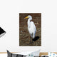 Lounging Egret Wall Mural