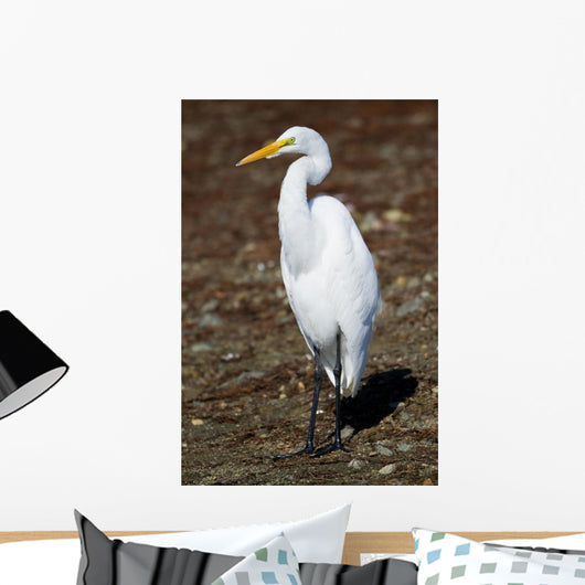 Lounging Egret Wall Mural