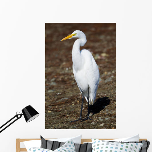 Lounging Egret Wall Mural