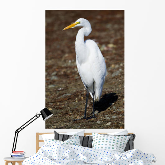 Lounging Egret Wall Mural
