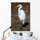 Lounging Egret Wall Mural