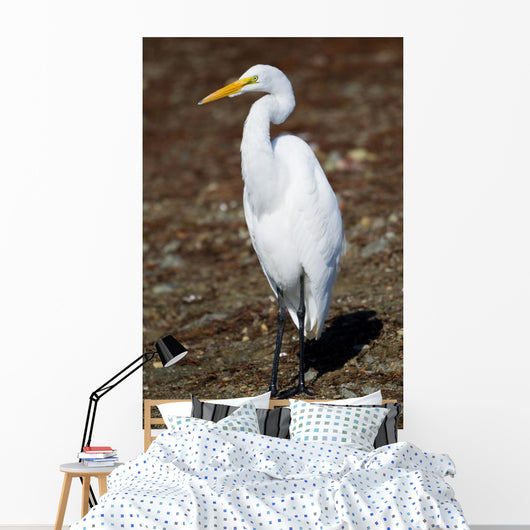Lounging Egret Wall Mural