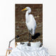 Lounging Egret Wall Mural