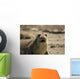 Seal Wall Decal