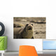Seal Wall Decal