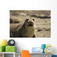 Seal Wall Decal