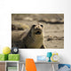 Seal Wall Decal