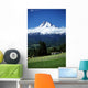Oregon, Usa Wall Mural