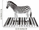 Zebra Wall Decal