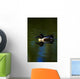 Duck Swimming In The Water Wall Mural