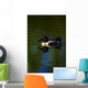 Duck Swimming In The Water Wall Mural