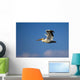 Flying Pelican Wall Mural