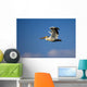 Flying Pelican Wall Mural