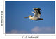 Flying Pelican Wall Mural