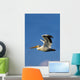 Flying Pelican Wall Mural