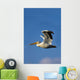 Flying Pelican Wall Mural