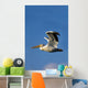 Flying Pelican Wall Mural