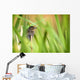 Pine Warbler Wall Mural