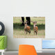 Elk In The Wild Wall Mural