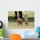 Elk In The Wild Wall Mural