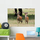 Elk In The Wild Wall Mural